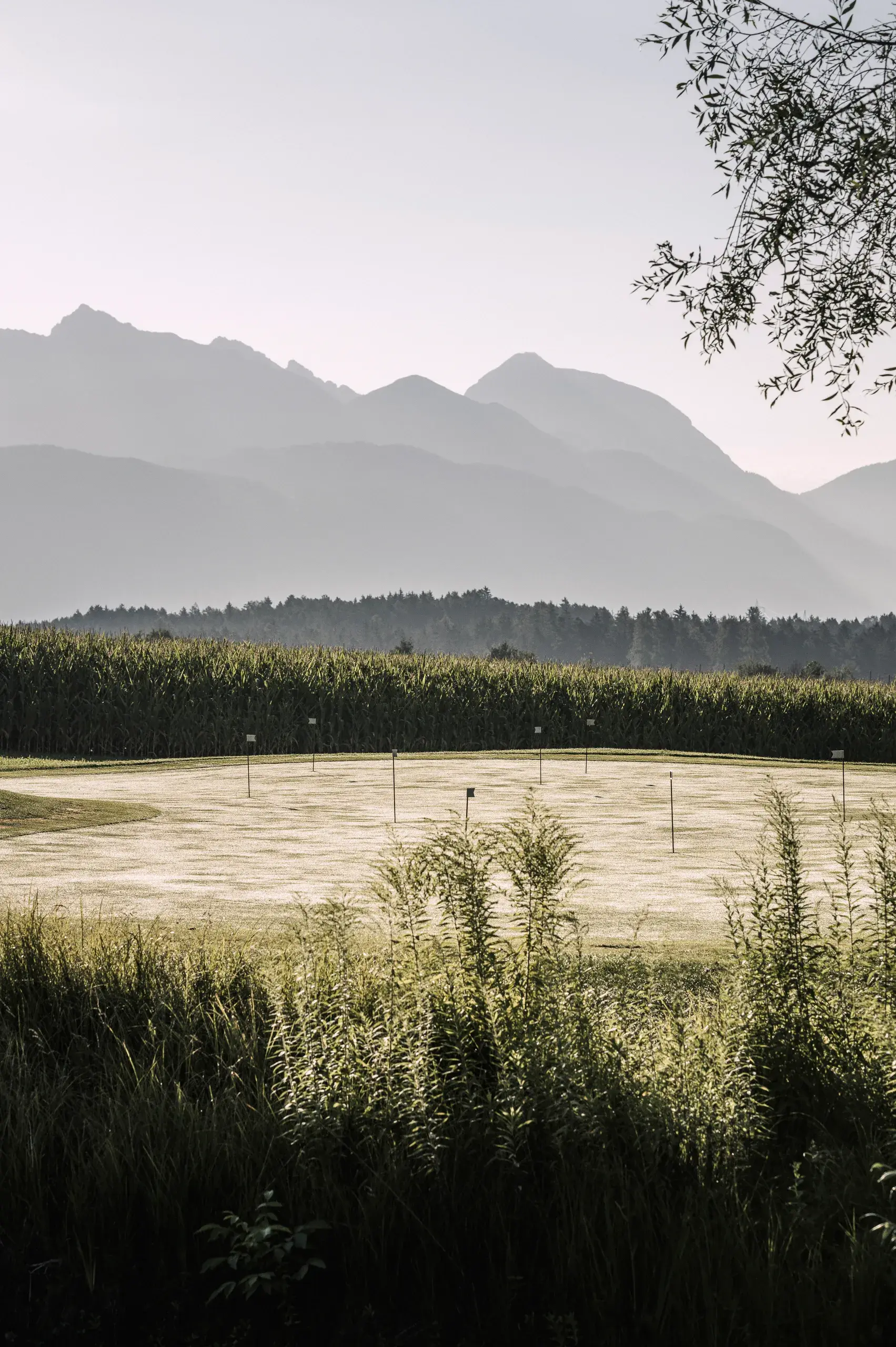 Putting-Green der 27-Loch Golfanlage am Mieminger Plateau – Rahmenprogramm beim Alpenresort Schwarz